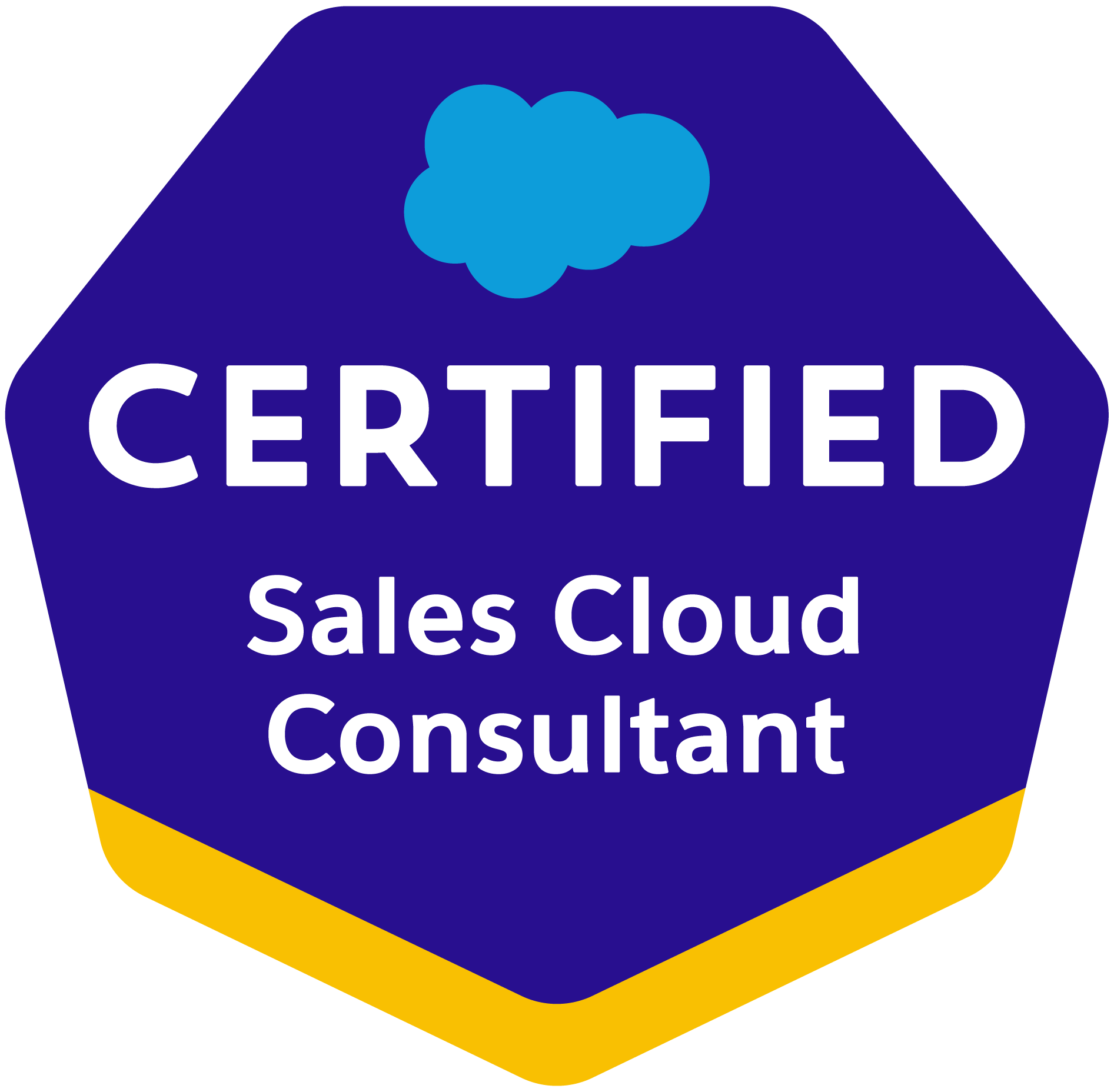 Salesforce Sales Cloud Consultant certification - enterprise sales optimization